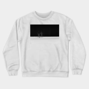 In the snow, the lone little bush stretches its branches against the black background Crewneck Sweatshirt